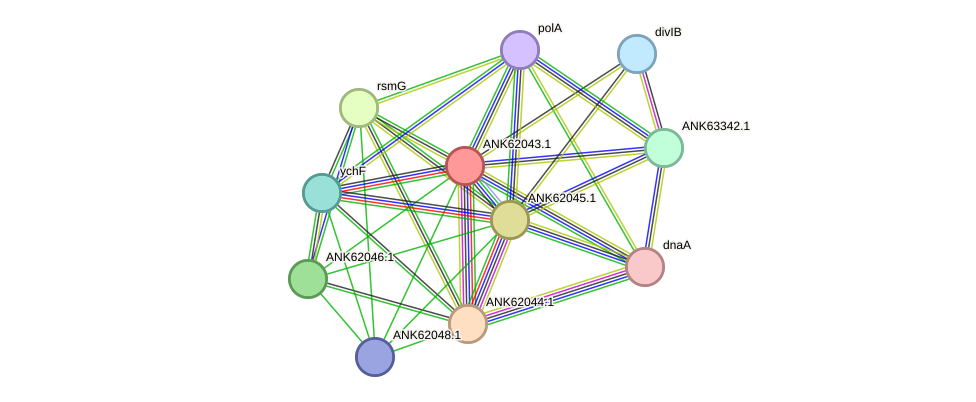 STRING protein interaction network