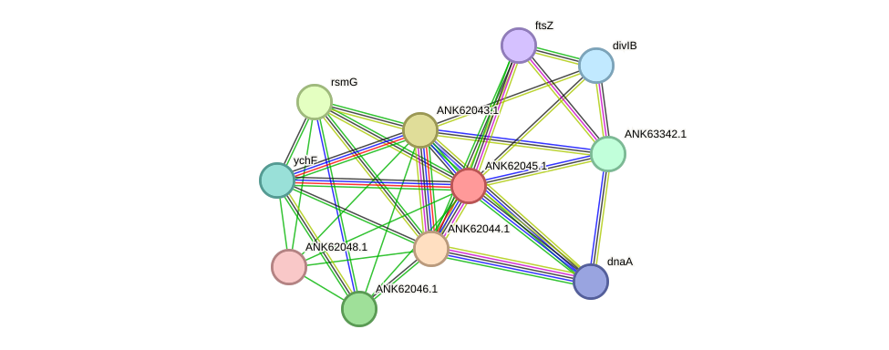 STRING protein interaction network