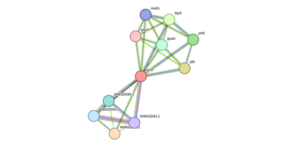 STRING protein interaction network