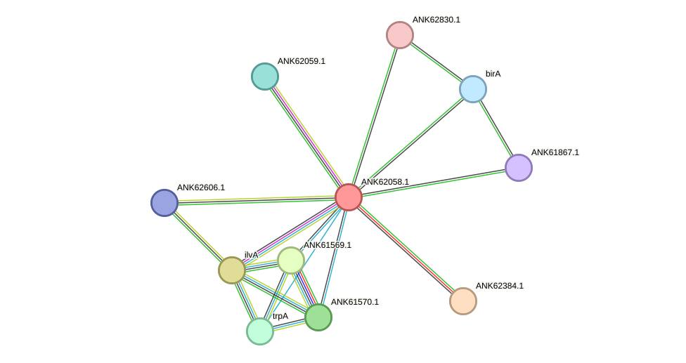 STRING protein interaction network