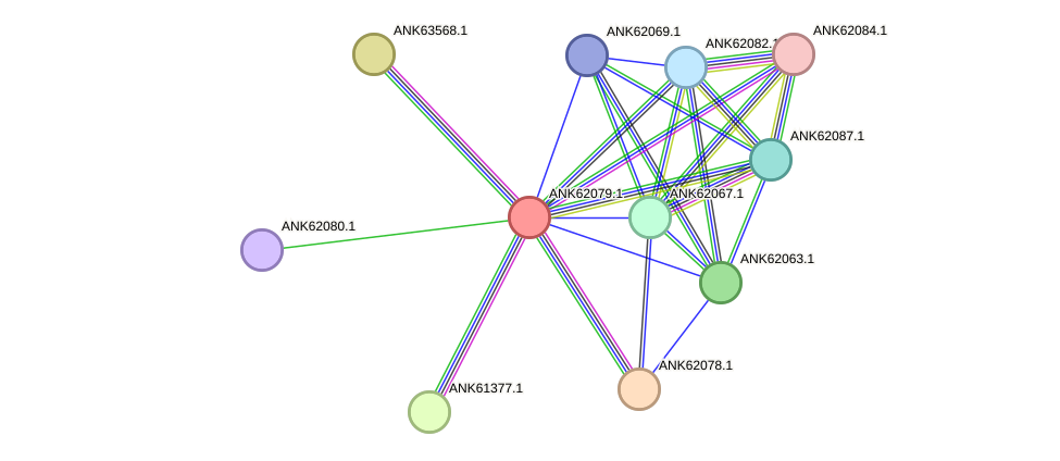 STRING protein interaction network