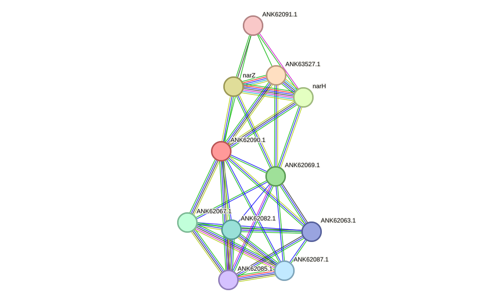 STRING protein interaction network