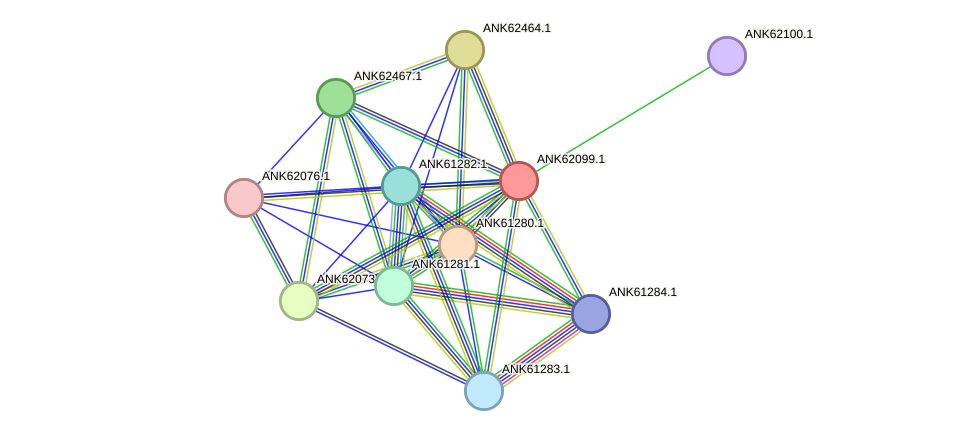 STRING protein interaction network