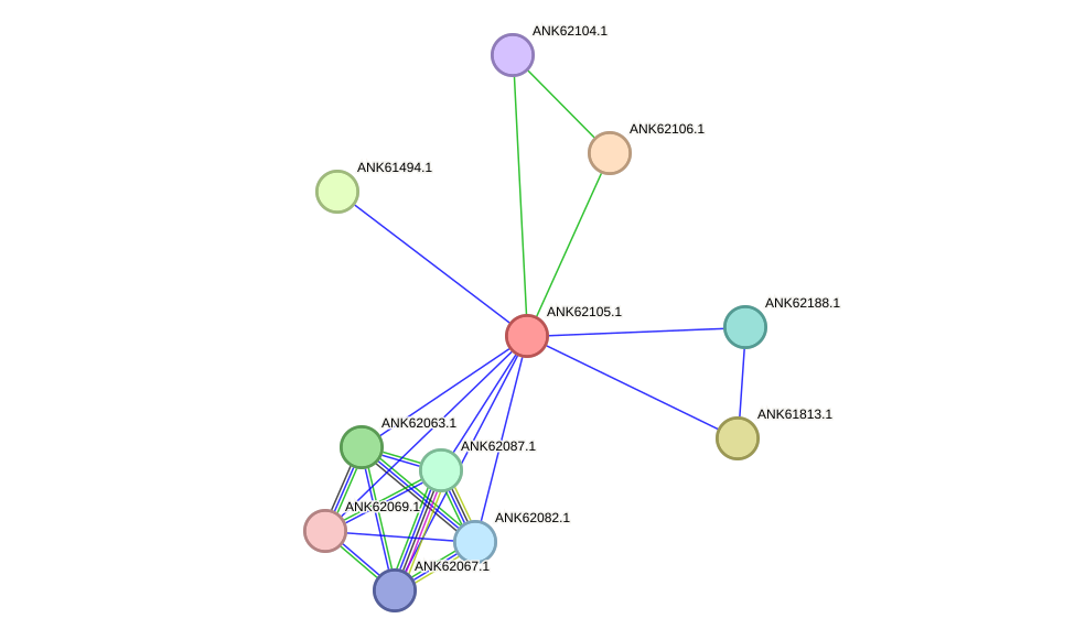 STRING protein interaction network