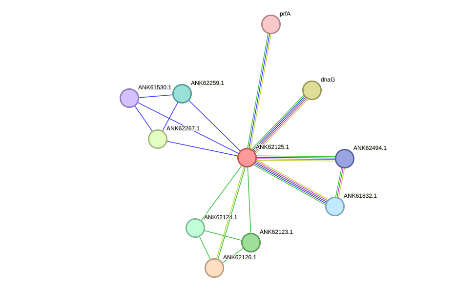 STRING protein interaction network
