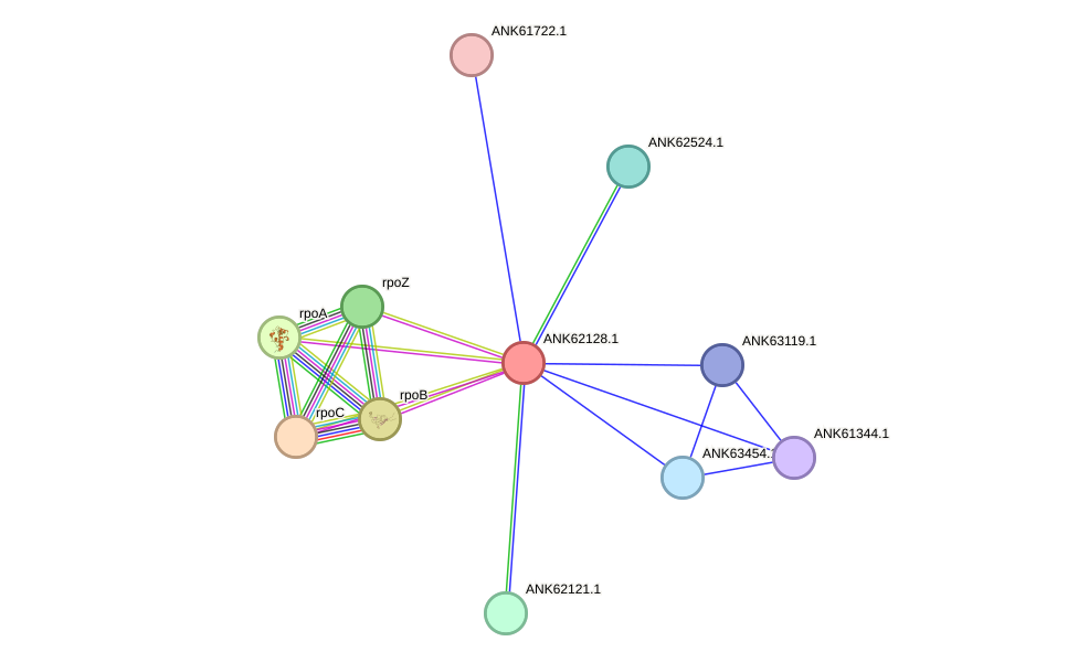 STRING protein interaction network