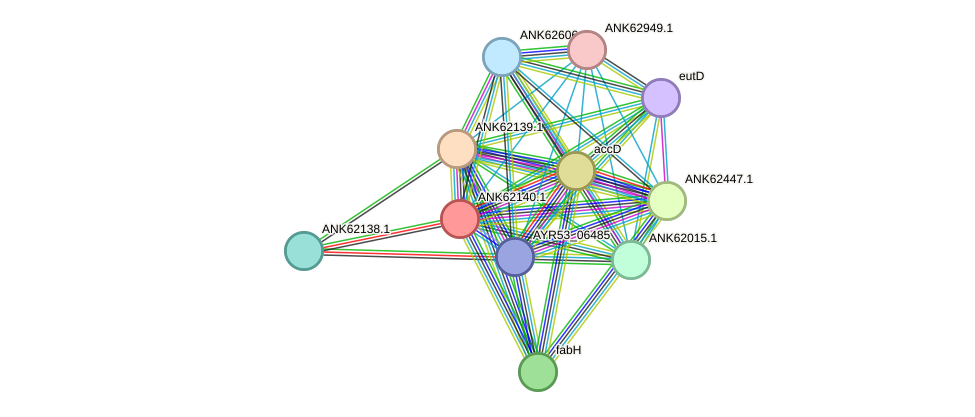 STRING protein interaction network