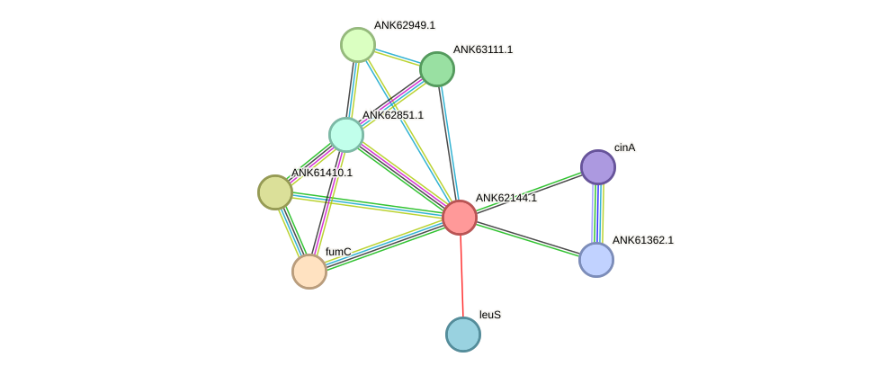 STRING protein interaction network