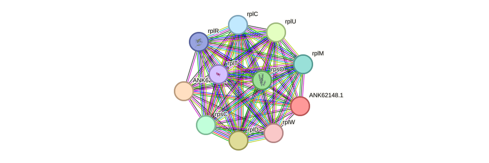 STRING protein interaction network
