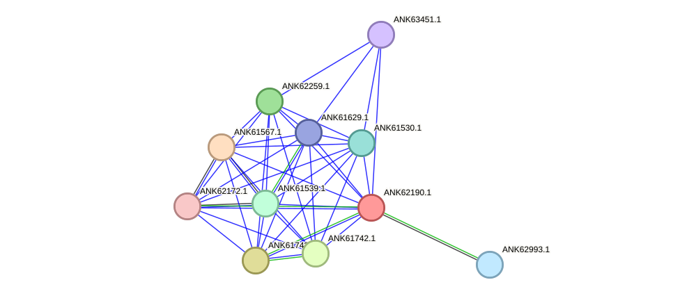 STRING protein interaction network