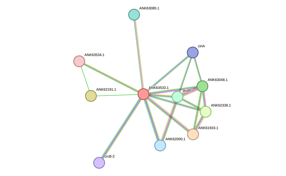 STRING protein interaction network