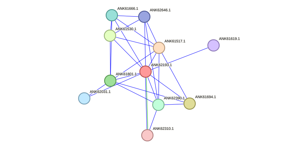 STRING protein interaction network