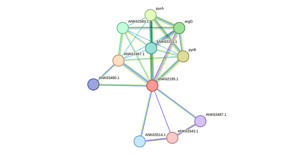 STRING protein interaction network