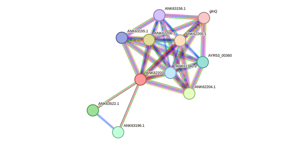STRING protein interaction network