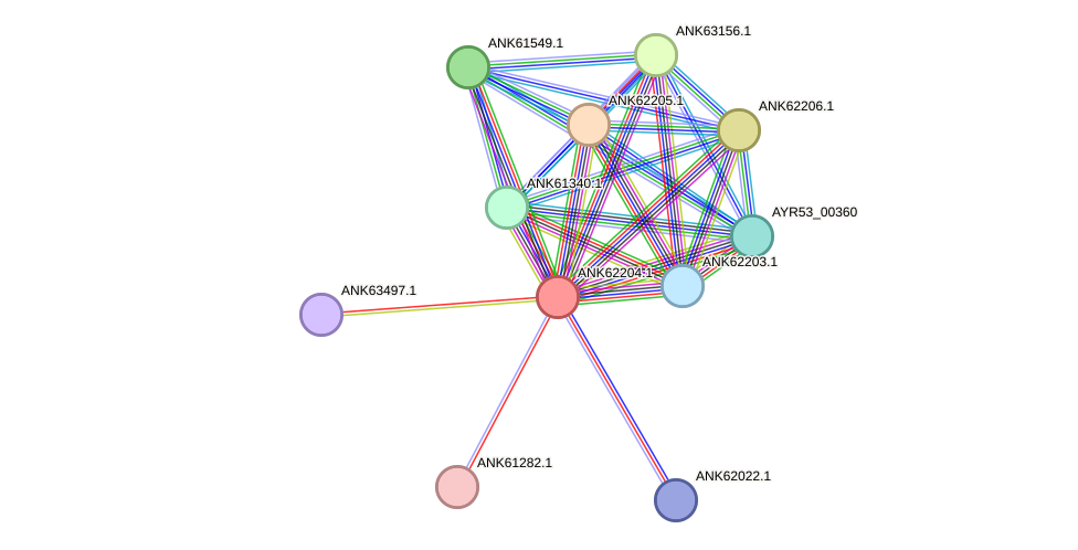STRING protein interaction network