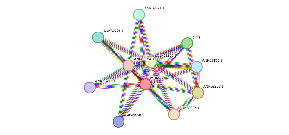 STRING protein interaction network