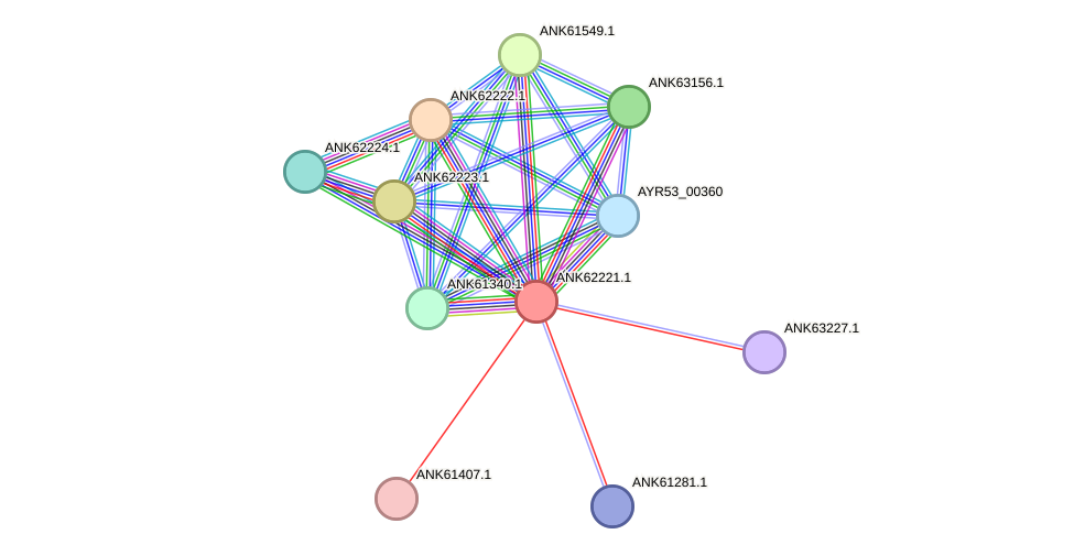 STRING protein interaction network