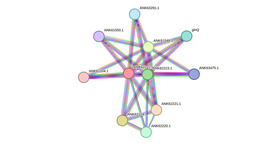 STRING protein interaction network