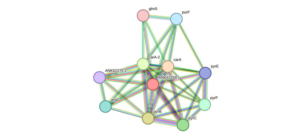 STRING protein interaction network