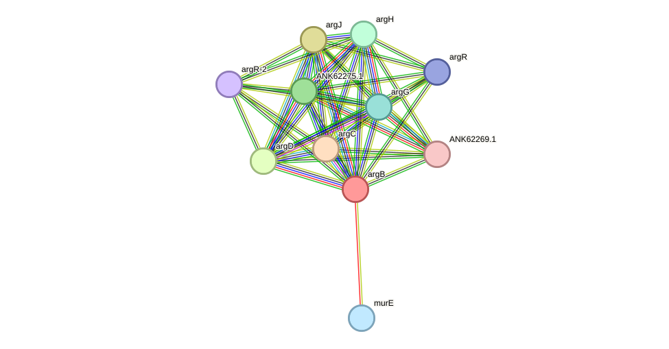 STRING protein interaction network
