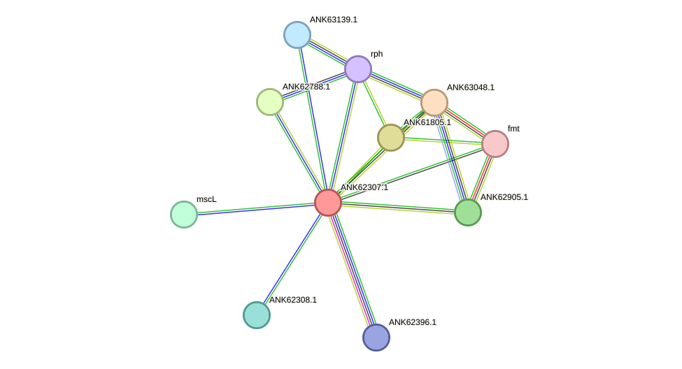 STRING protein interaction network