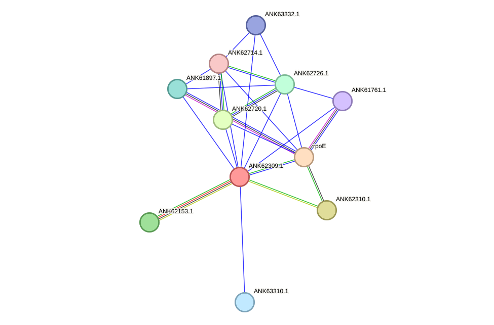 STRING protein interaction network