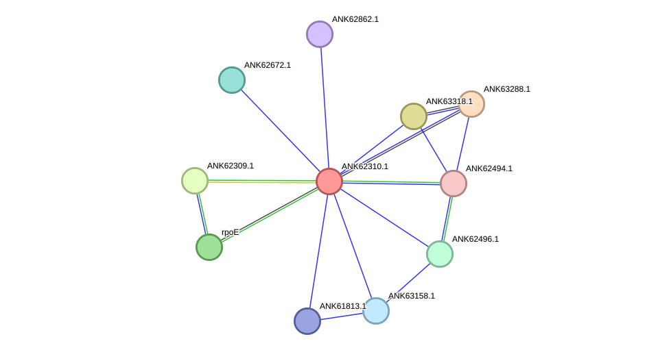 STRING protein interaction network