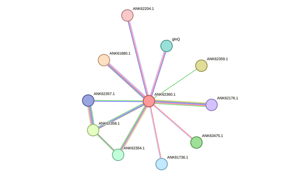 STRING protein interaction network