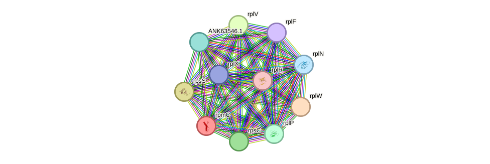 STRING protein interaction network