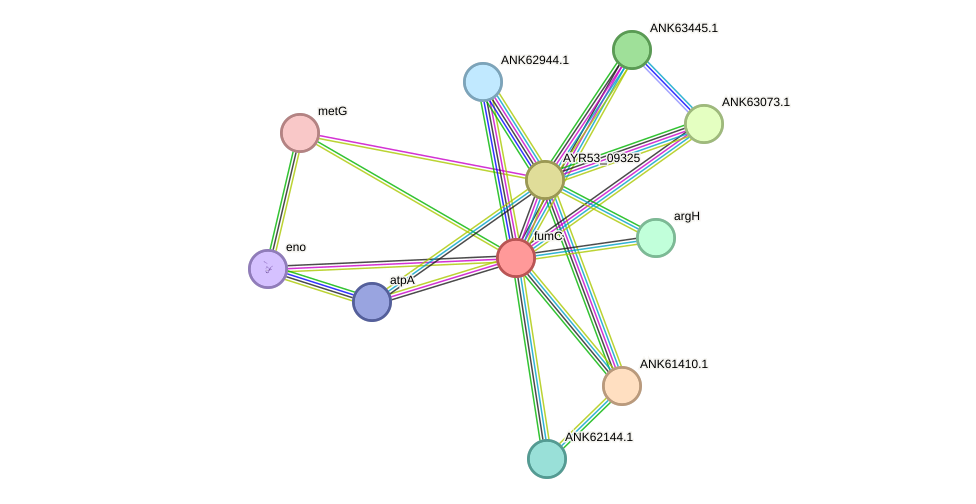 STRING protein interaction network
