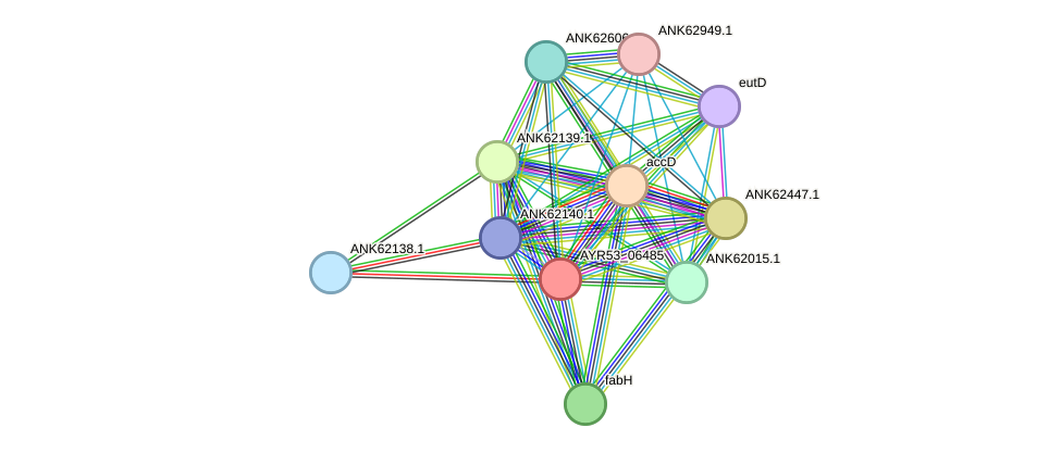 STRING protein interaction network