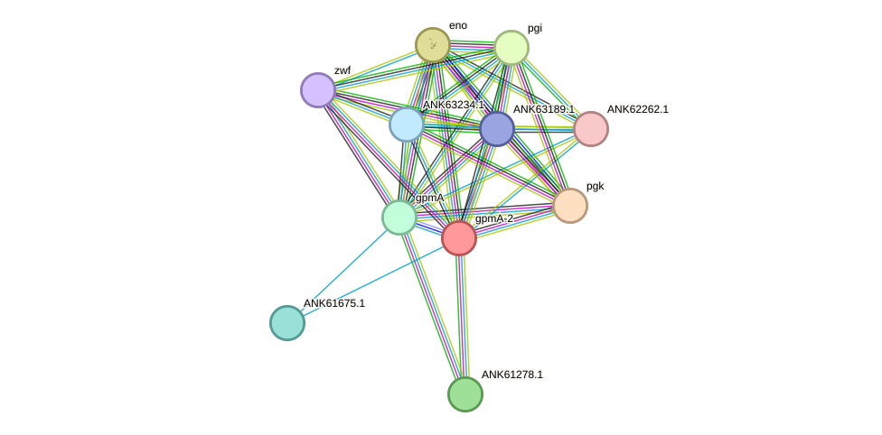 STRING protein interaction network