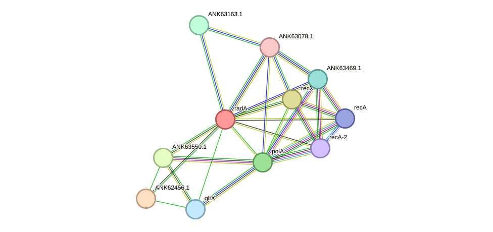 STRING protein interaction network