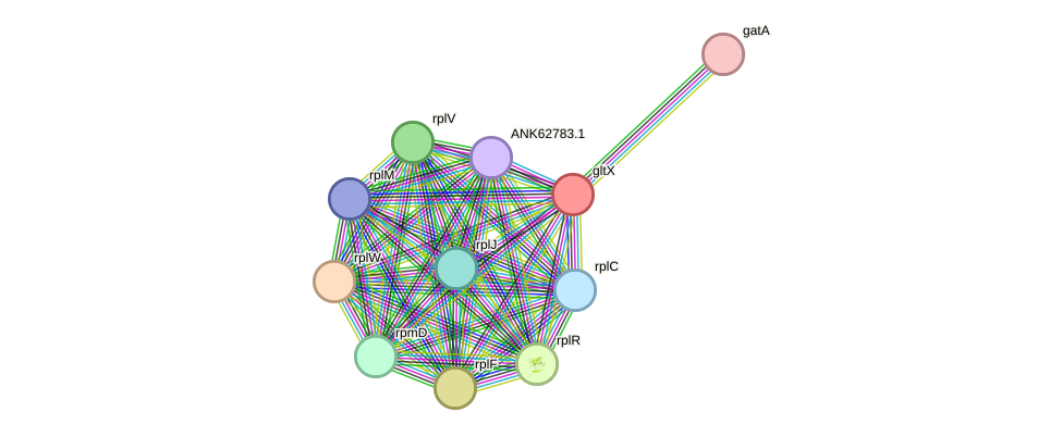 STRING protein interaction network