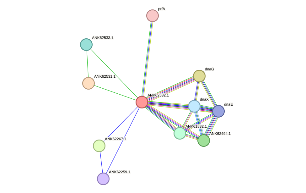 STRING protein interaction network
