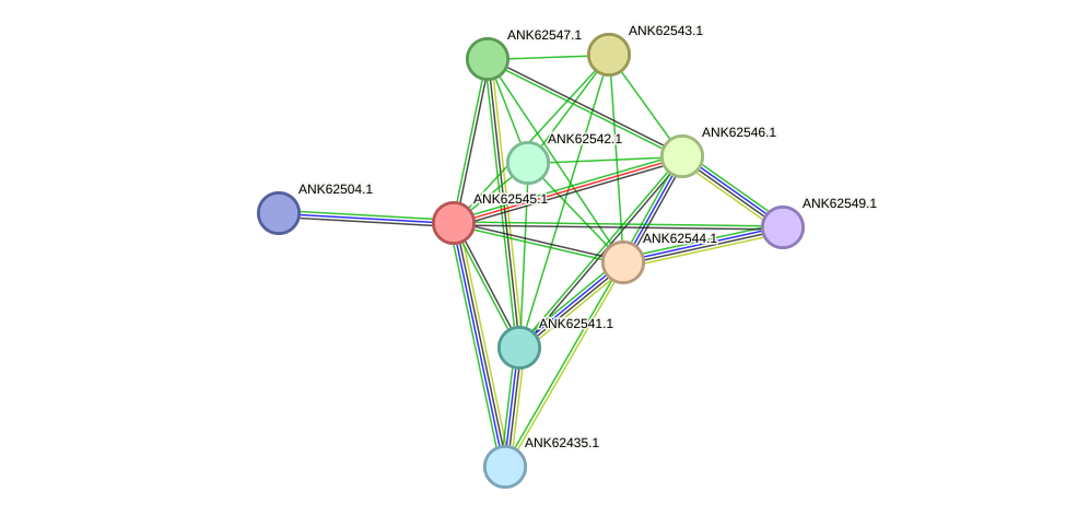 STRING protein interaction network