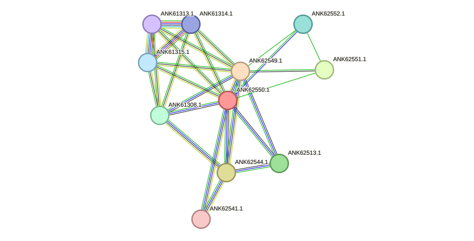 STRING protein interaction network