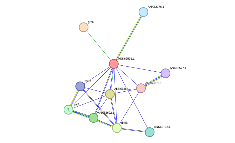 STRING protein interaction network