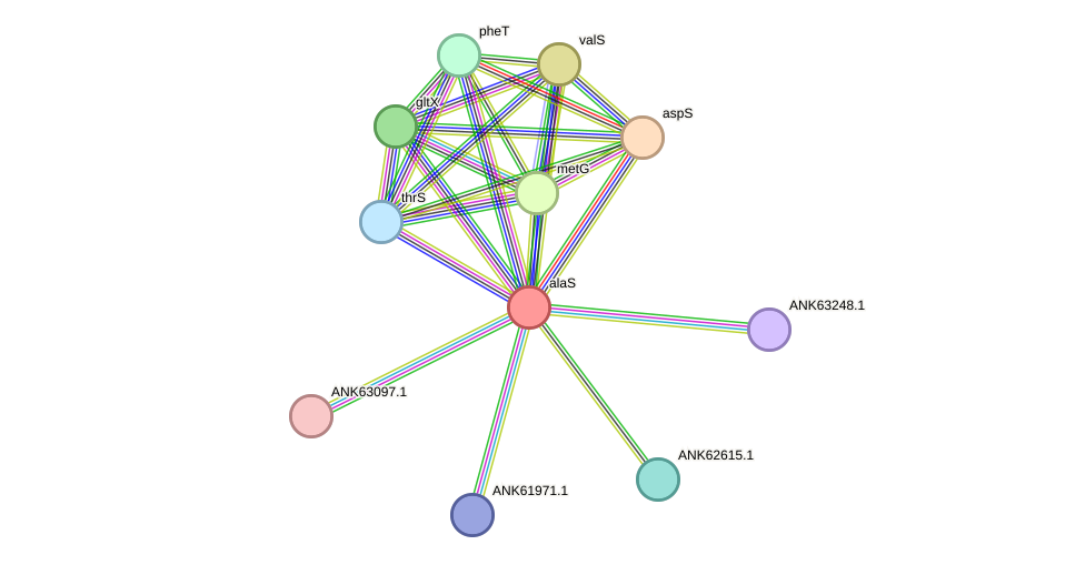 STRING protein interaction network