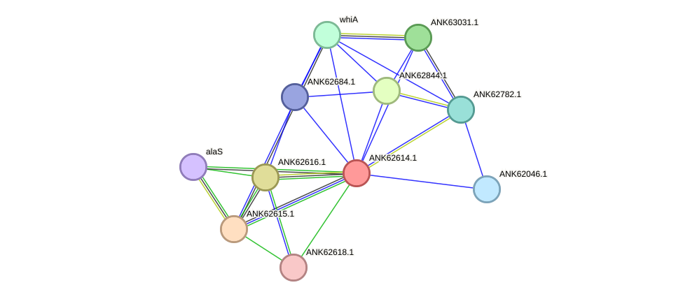 STRING protein interaction network