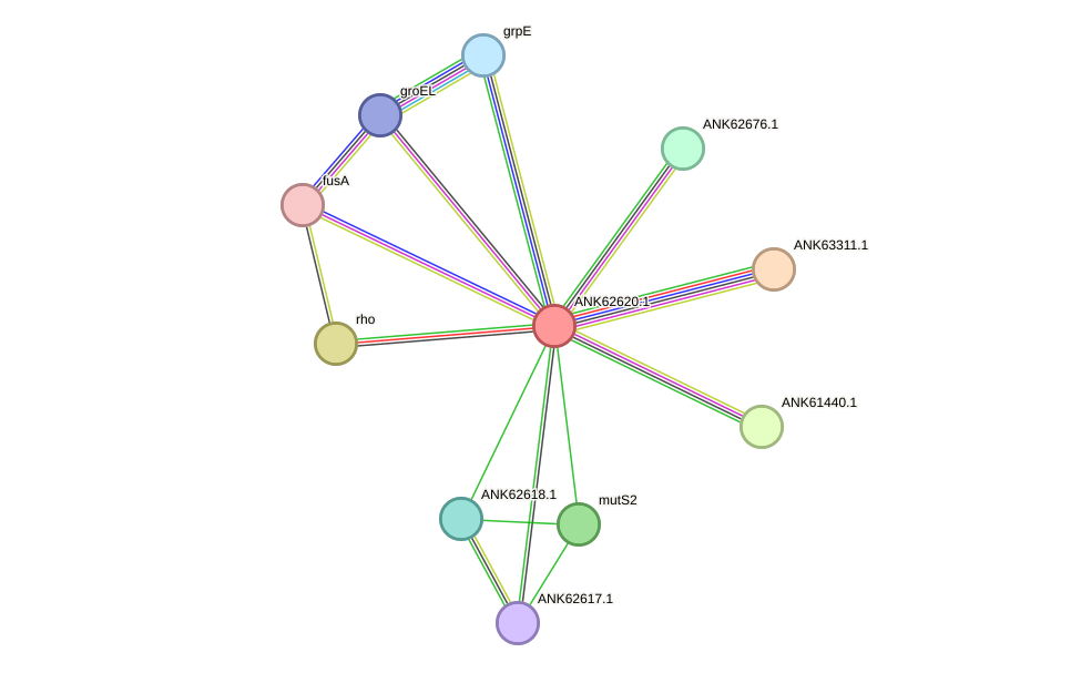 STRING protein interaction network