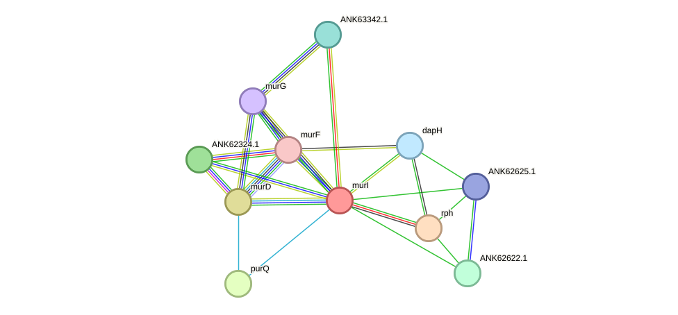 STRING protein interaction network