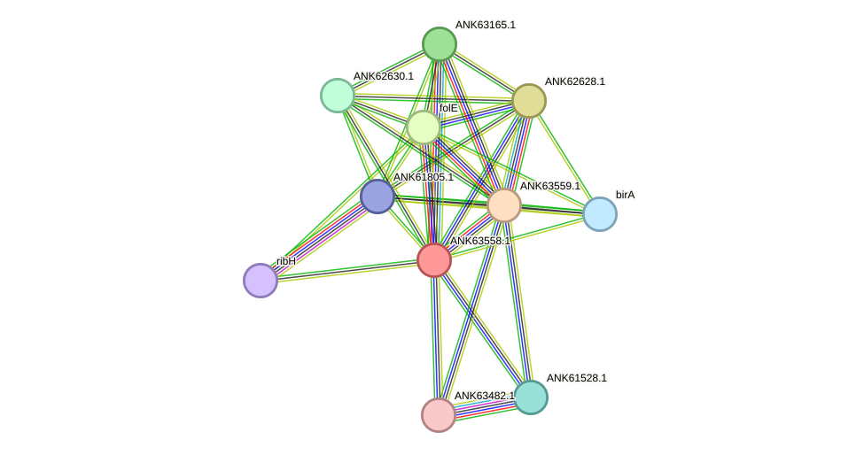 STRING protein interaction network