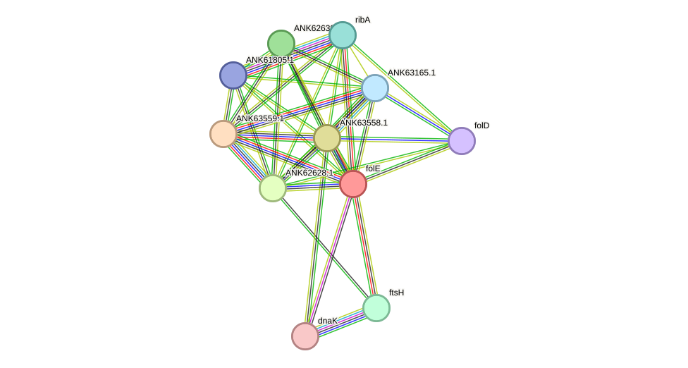 STRING protein interaction network