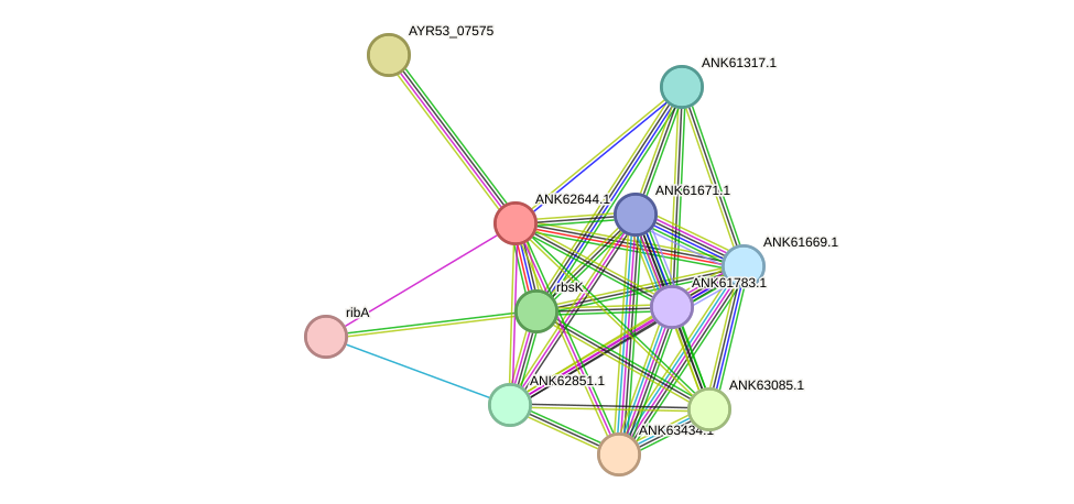 STRING protein interaction network
