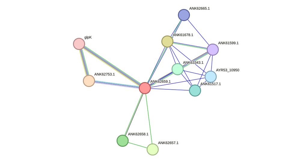 STRING protein interaction network