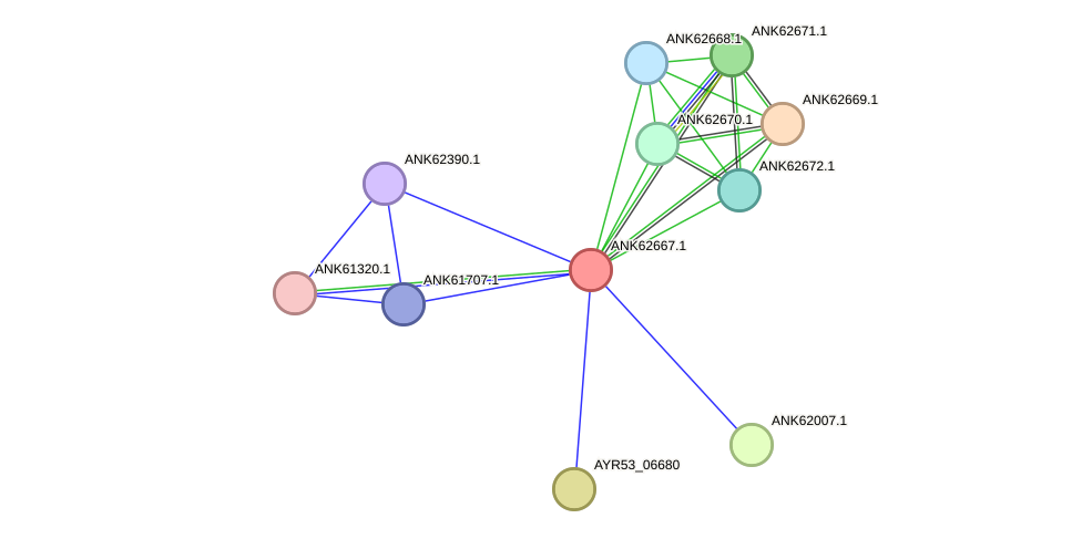 STRING protein interaction network