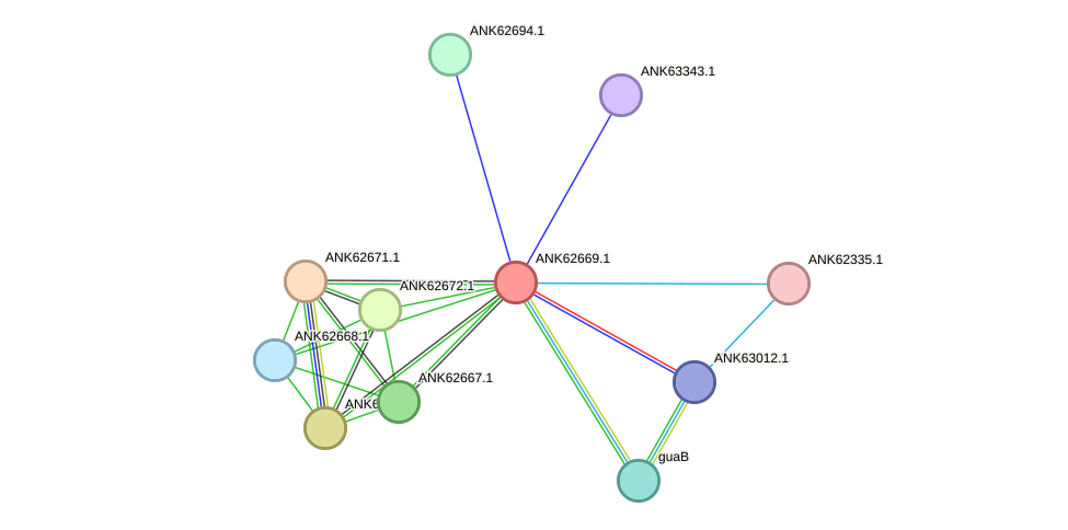 STRING protein interaction network