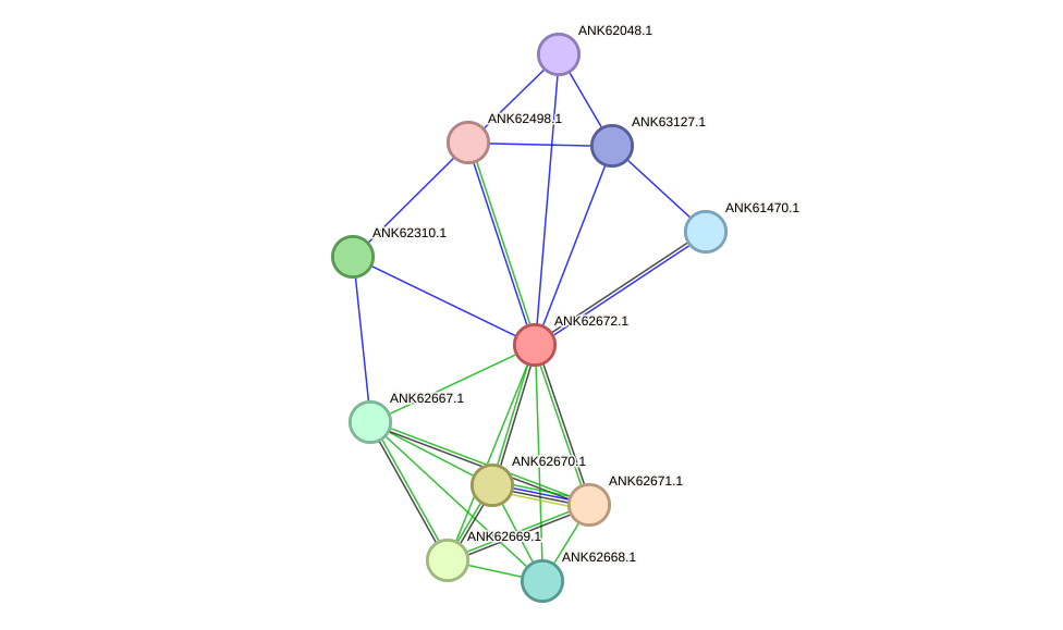 STRING protein interaction network