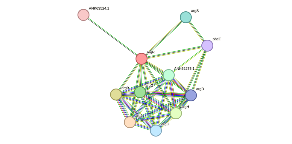 STRING protein interaction network
